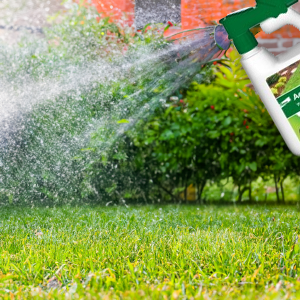 A garden hose attachment spraying insecticide on a lawn with bushes in the background.